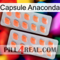 Anaconda Capsule 27